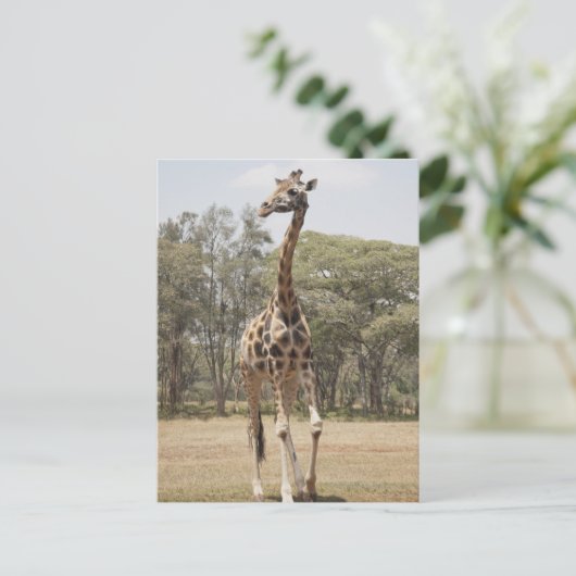 Giraffe 5 postkarte (Stehend Vorderseite)