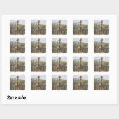 Giraffe 5 quadratischer aufkleber (Blatt)