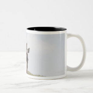 Giraffe 5 zweifarbige tasse
