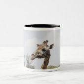 Giraffe 5 zweifarbige tasse (Mittel)