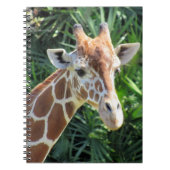 Giraffe - 6.5 x 8.75 Notebook Notizblock (Vorderseite)