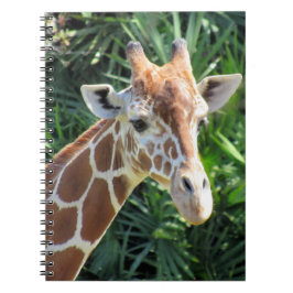 Giraffe - 6.5 x 8.75 Notebook Notizblock