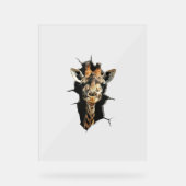 Giraffe _7 acrylschild (Vorderseite)