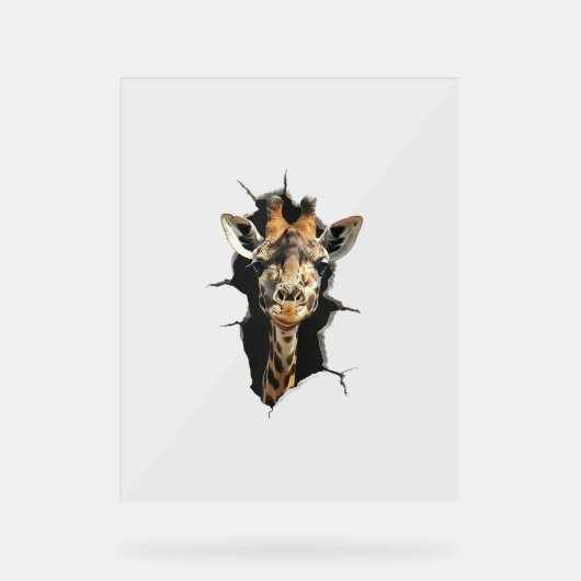 Giraffe _7 acrylschild (Vorderseite)