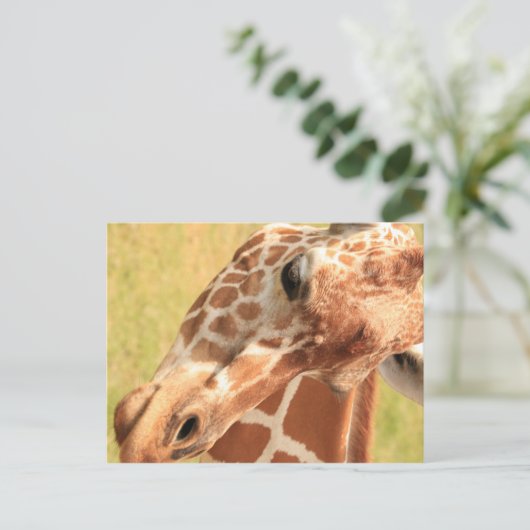 Giraffe #7 postkarte (Stehend Vorderseite)