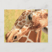 Giraffe #7 postkarte (Vorderseite)