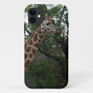 Giraffe-Abenteuer, Case-Mate iPhone Hülle
