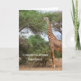 Giraffe-Abschluss-Karte Karte
