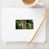 Giraffe Adressaufkleber (Insitu)