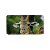 Giraffe Adressaufkleber (Vorne)