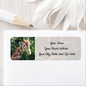 Giraffe-Adressmarken (Insitu)