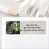 Giraffe-Adressmarken (Insitu)