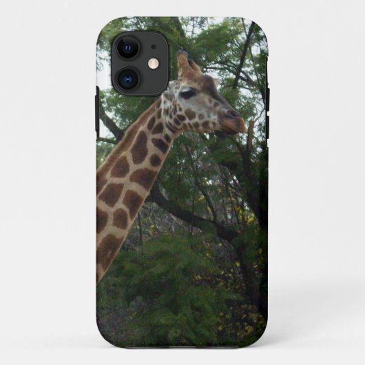 Giraffe Adventure Case-Mate iPhone Hülle (Rückseite)