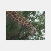 Giraffe Adventure, klein Fleecedecke (Vorderseite (Horizontal))