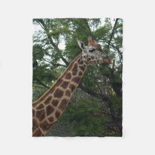 Giraffe Adventure, klein Fleecedecke