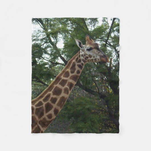 Giraffe Adventure, klein Fleecedecke (Vorderseite)