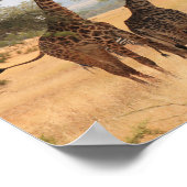 Giraffe Africa Animal Pattern Destiny's Destiny Poster (Ecke)