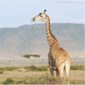Giraffe Africa Aufkleber (Vorderseite)