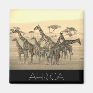 Giraffe africa magnet