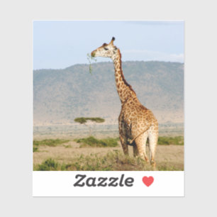 Giraffe Afrika Aufkleber