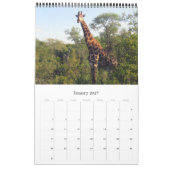 Giraffe afrikanische Safari Kalender (Jan 2027)