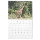 Giraffe afrikanische Safari Kalender (Feb 2027)