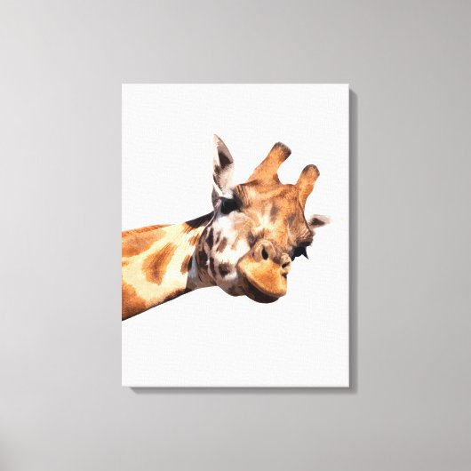 Giraffe afrikanisches Tierportrait Leinwanddruck (Vorderseite)