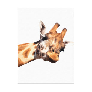 Giraffe afrikanisches Tierportrait Leinwanddruck