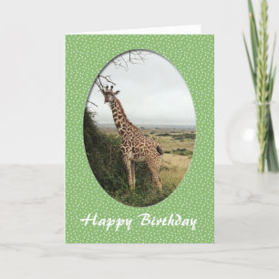 Giraffe Alles Gute zum Geburtstag Karte