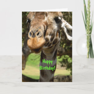 Lustige Giraffe Karten Zazzle.de