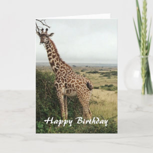 Giraffe Alles Gute zum Geburtstag Karte