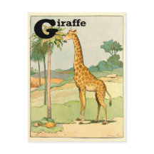 Giraffe Alphabet Animal