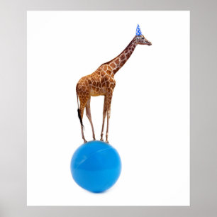 Giraffe am Ball Poster