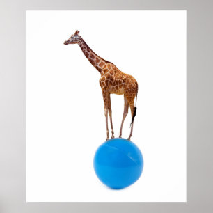Giraffe am Ball Poster