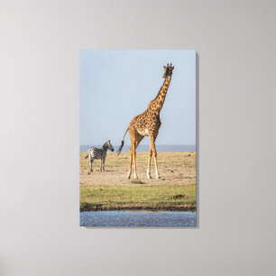 Giraffe an einem Wasserloch Leinwanddruck
