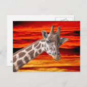Giraffe Animal Portrait gegen Sunset Sky Postkarte (Vorne/Hinten)