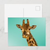 GIRAFFE ART POSTCARDS FEIERTAGSPOSTKARTE (Vorne/Hinten)