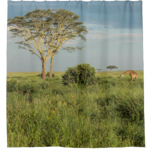 Giraffe auf dem Serengeti Duschvorhang