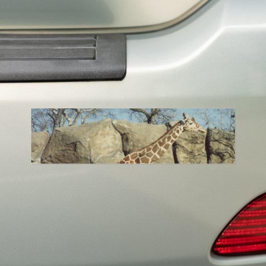 Giraffe Autoaufkleber (Auf Auto)