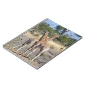 Giraffe Babies Spiralheft/Zeitschrift Notizblock (Linke Seite)