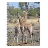 Giraffe Babies Spiralheft/Zeitschrift Notizblock (Vorderseite)