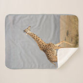 Giraffe Baby Blanket Klein Sherpadecke (Vorderseite (Horizontal))