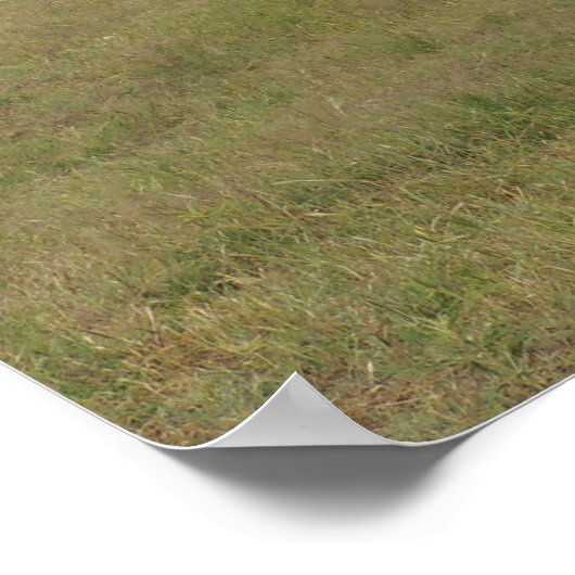 Giraffe bei Fossil Rim Poster (Ecke)