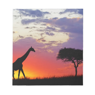 Giraffe bei Sonnenaufgang silhouettiert, Giraffa Notizblock