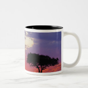 Giraffe bei Sonnenaufgang silhouettiert, Giraffa Zweifarbige Tasse
