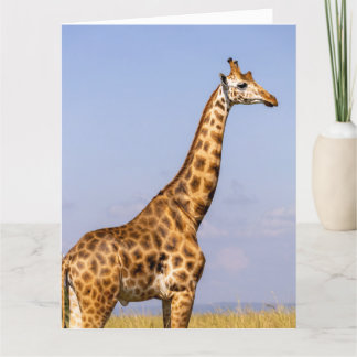 GIRAFFE BIRTHDAY GREETING CARD DANKESKARTE