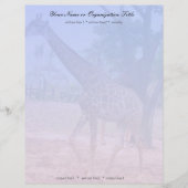 Giraffe Briefbogen (Vorderseite)