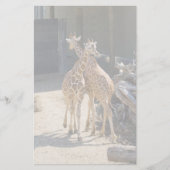 Giraffe Briefpapier (Vorderseite)