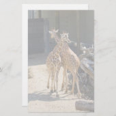 Giraffe Briefpapier (Vorne/Hinten)