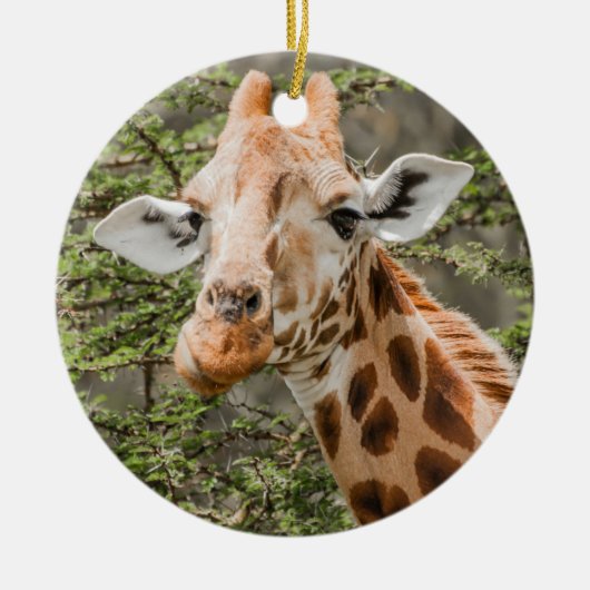 Giraffe Browsing Keramik Ornament (Vorne)